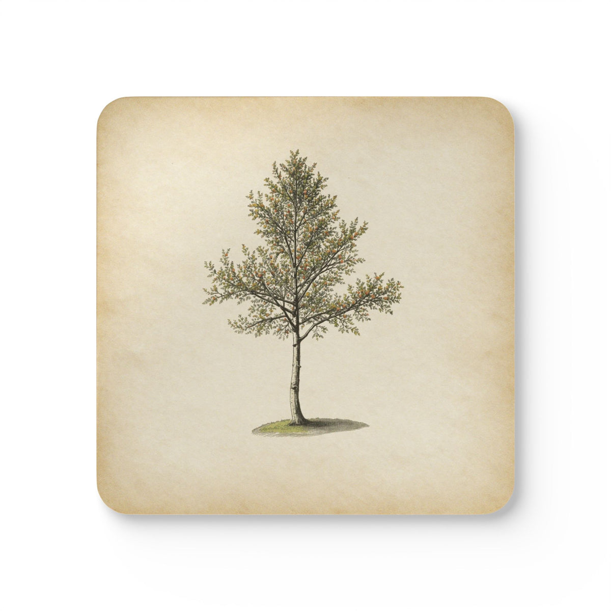 Heritage Pine — Coaster Set (Set of 4)