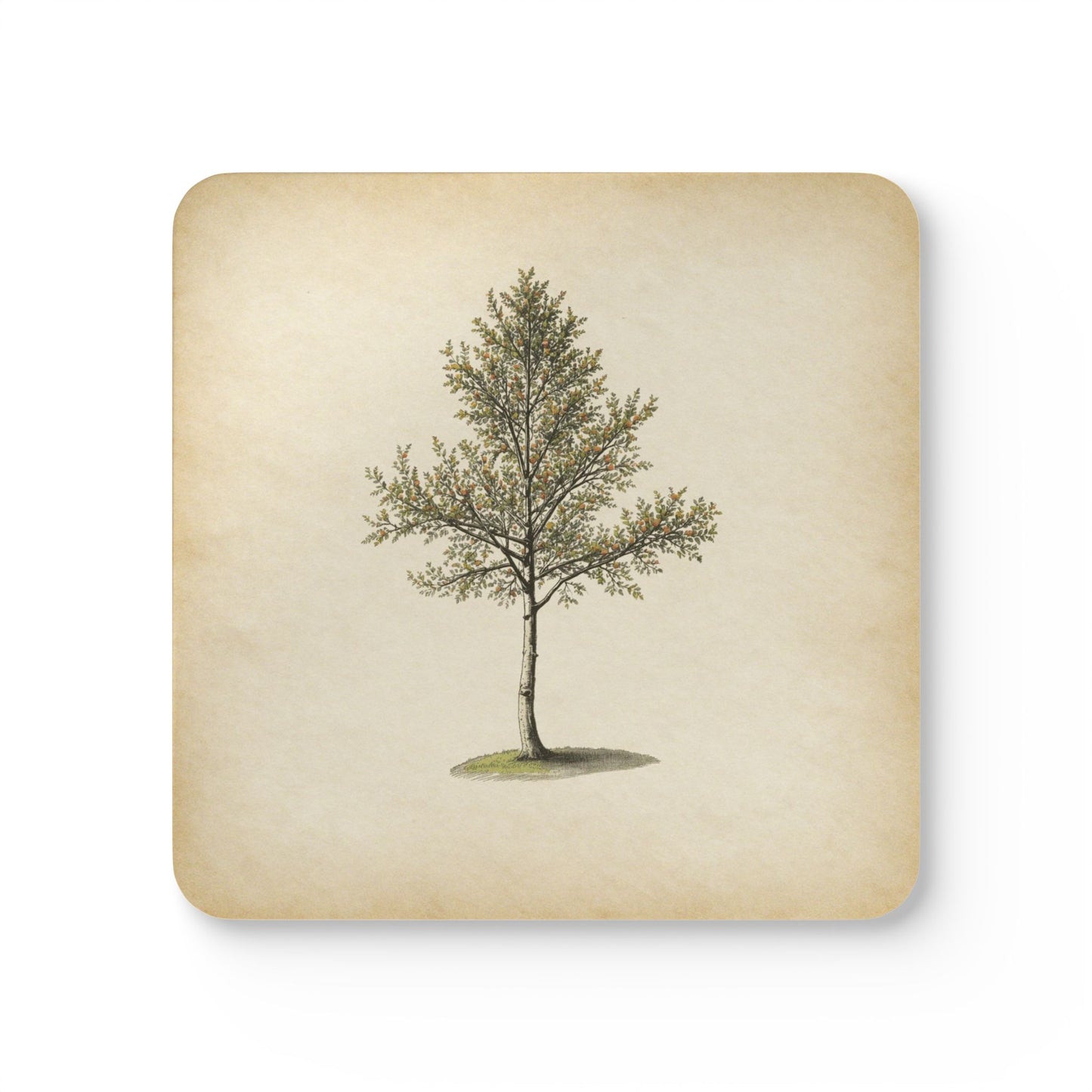 Heritage Pine — Coaster Set (Set of 4)